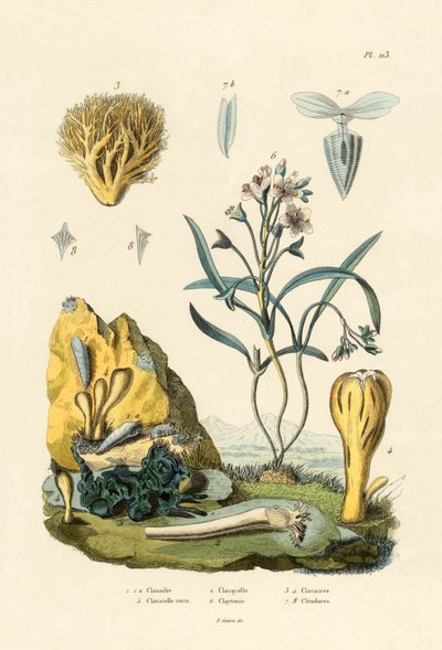 Türschnecke von French School